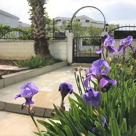 Daire Wonderful Ground Floor Private Home In Central Location Ticks Every Box